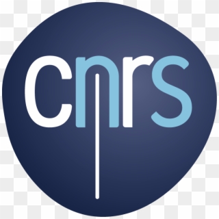 CNRS / CNRS logo